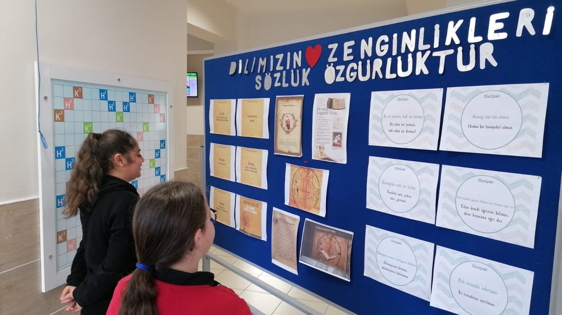 Dilimizin Zenginlikleri Projemize Devam Ediyoruz - 2